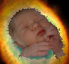 Nacio el 31-3-2004